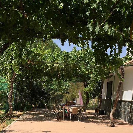 Casa De Ines Villa Alhama de Granada Dış mekan fotoğraf